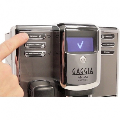 Кофемашина Gaggia Anima Prestige OTC SS - фото 11