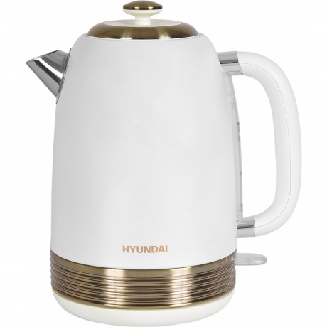 Чайник электрический Hyundai HYK-S4500 - фото 1
