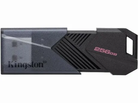 Флешка Kingston USB3.2 256GB (DTXON/256GB)