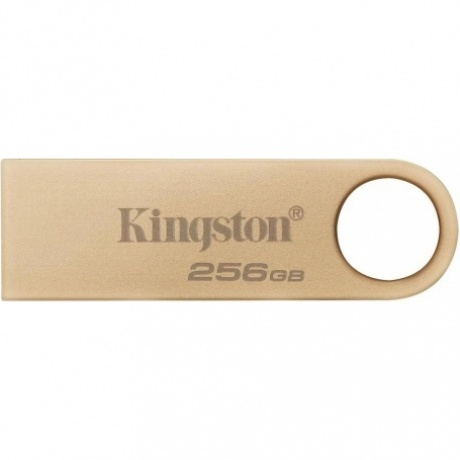 Флешка 256Gb Kingston DataTraveler SE9 G3 DTSE9G3/256GB - фото 1