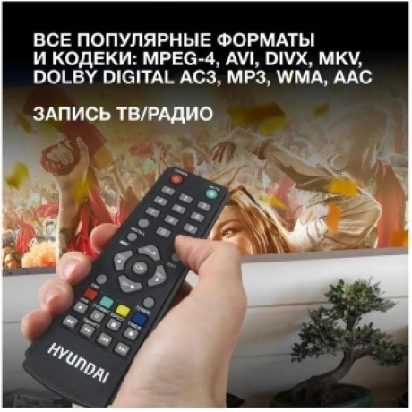 Цифровой TV ресивер HYUNDAI H-DVB460 черный - фото 11