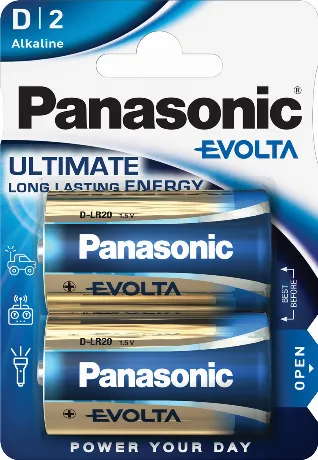 Батарейки Panasonic LR20EGE/2BP D щелочные Evolta в блистере 2шт
