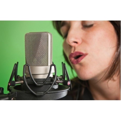 Держатель для микрофона Rycote InVision USM (RYC044901) - фото 9