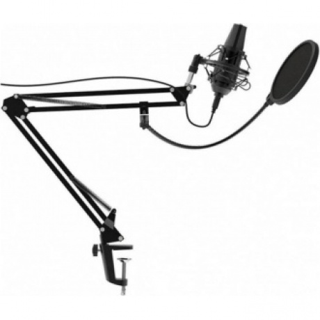 Микрофон RITMIX RDM-180 черный - фото 2