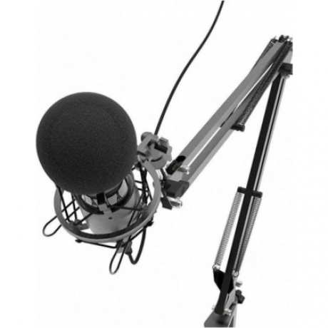 Микрофон RITMIX RDM-180 черный - фото 4