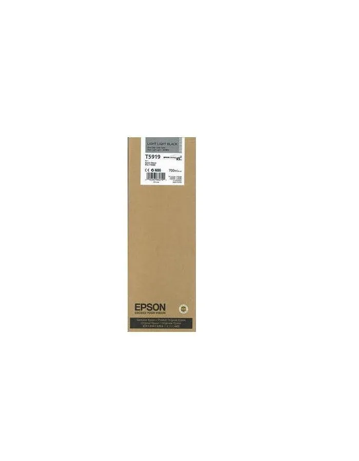Картридж струйный Epson T5919 (C13T591900) Light Light Black
