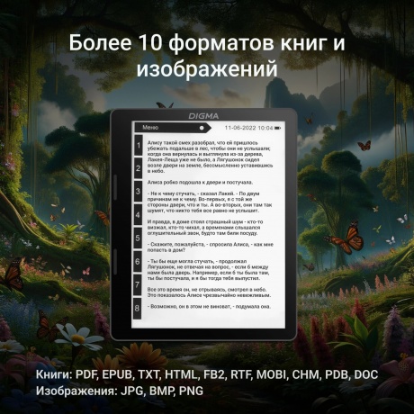 Электронная книга Digma F4 черный - фото 17