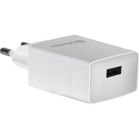 Сетевое зарядное устройство Defender EPA-10 (83549)