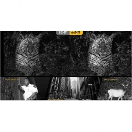 Смартфон Ulefone Armor 24 12/256Gb Black - фото 27