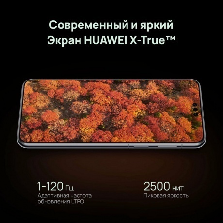 Смартфон Huawei Mate 70 Pro 12/512Gb Black - фото 13