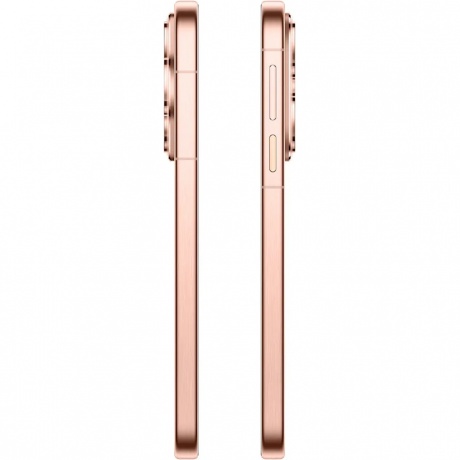 Смартфон Huawei Pura 80 12/256Gb (51098KET) Frosted Gold - фото 4