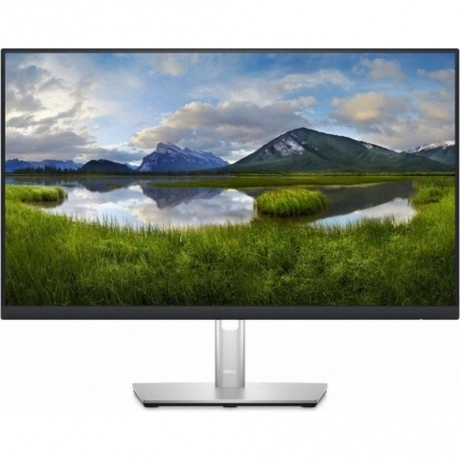 Монитор Dell 23.8" P2423DE черный IPS (210-BDDW)