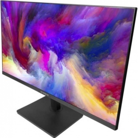 Монитор Irbis 24 23.8''  Black (ISM24FIDVESA) - фото 4