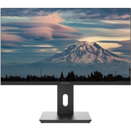 Монитор Raskat I27F10DAP 27" - фото 3