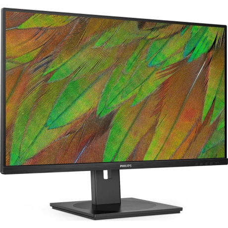 Монитор Philips 31,5" 32B1U3900 - фото 3