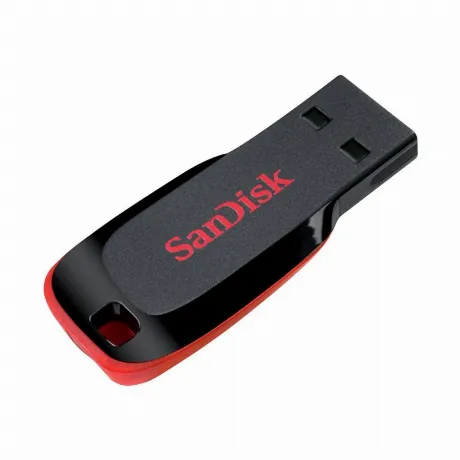 Флешка SanDisk Cruzer Blade 32Gb (SDCZ50-032G-B35) USB2.0 черный...